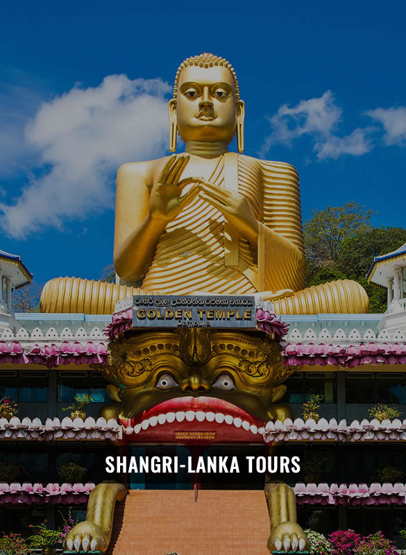 SHANGRI-LANKA TOURS SRI LANKA