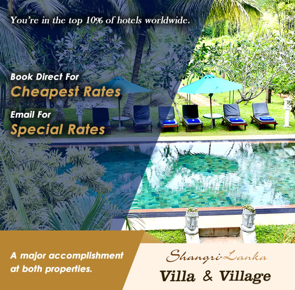 2021 TRAVELER'S CHOICE | TRIPADVISOR | BEST OF THE BEST